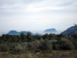 Montgó stikker op over disen